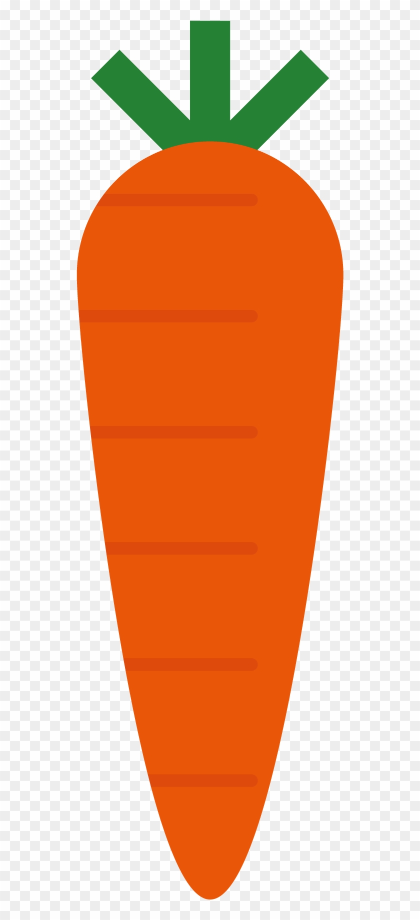 Carrot Cartoon Radish - Carrot Cartoon Radish #993775