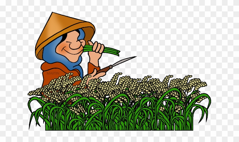 Rice Farmer Clipart