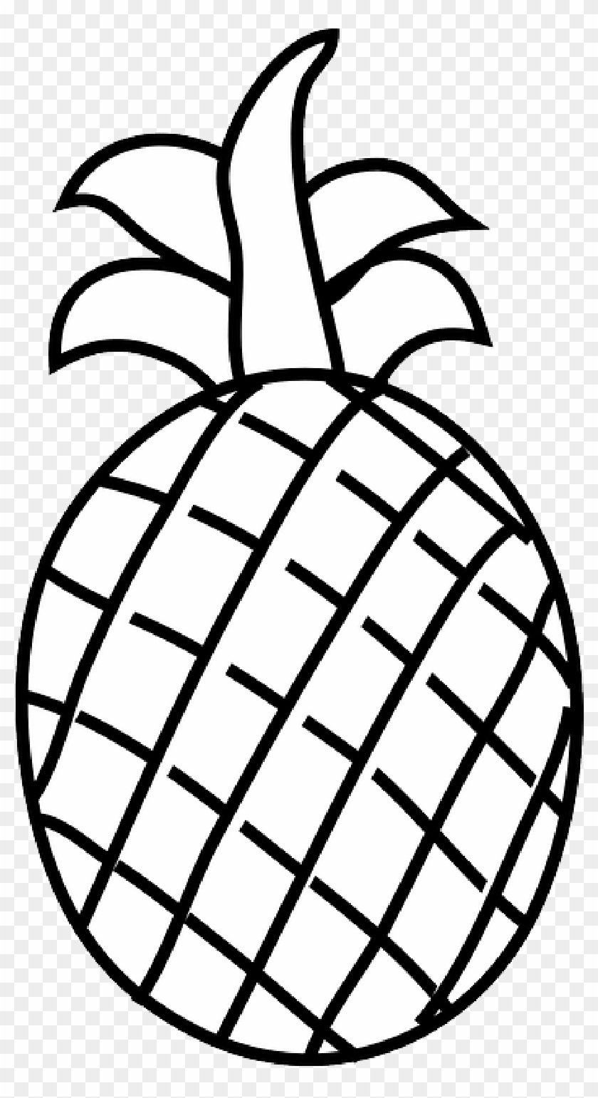 Fruits Outline Drawing Apple Vector Images over 3200