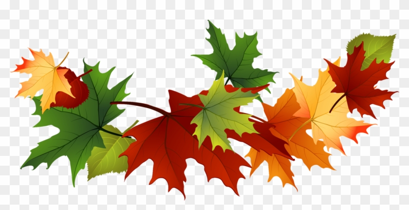 Fall Leaves Clip Art Free Fall Transparent Leaves - Transparent Background Autumn Leaves Clipart #174672