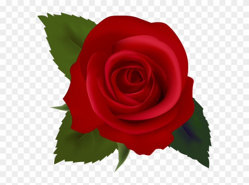 Red Rose Clip Art - Red Rose Clip Art #174787