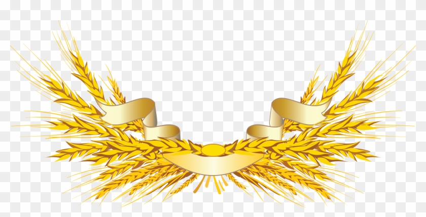 Wheat Png Images Free Download - Wheat Sheaf #174833
