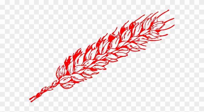 Wheat Clip Art #174835