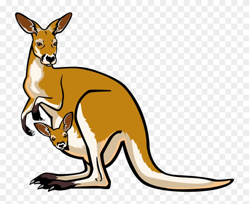 Kangaroo Clip Art - Kangaroo Images Clip Art #174839