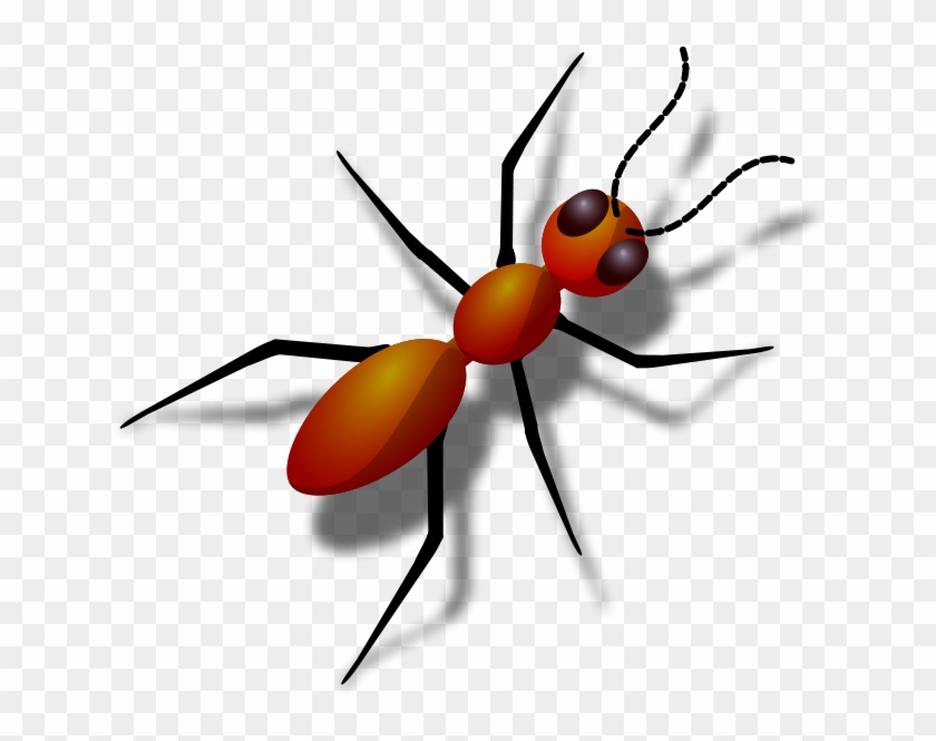 Ant Free Vector - Animals With 6 Legs #174858