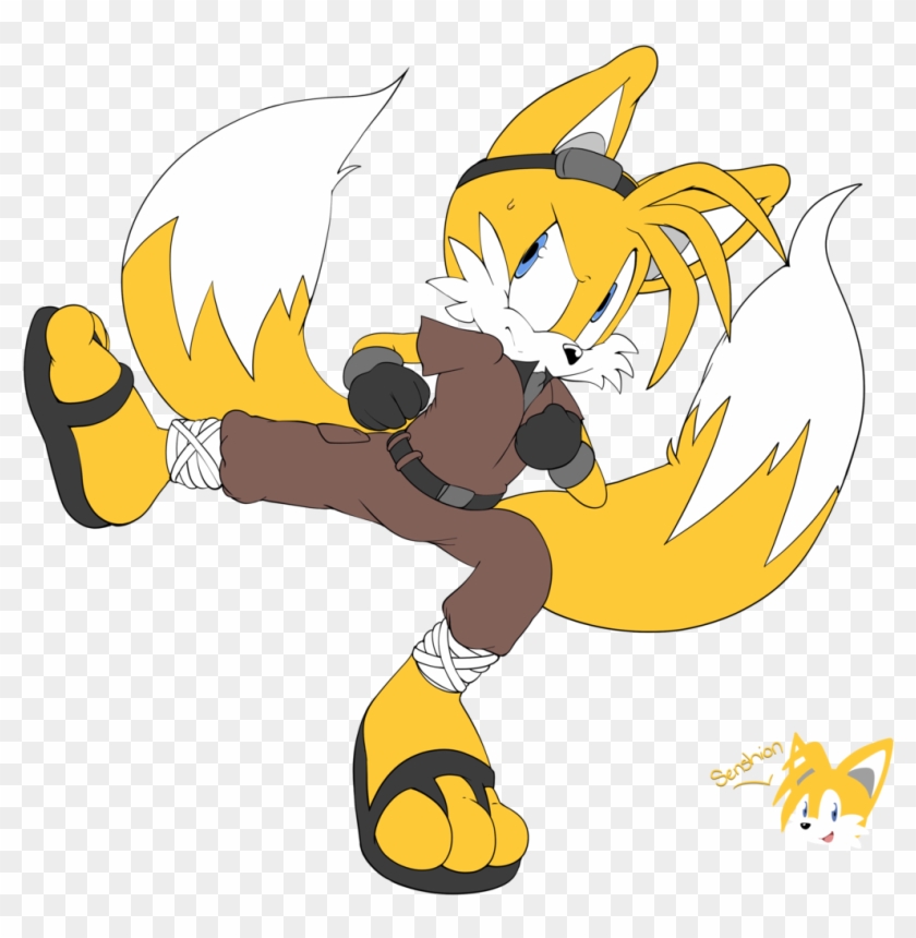 Kung Fu Tails By Senshionart Kung Fu Tails By Senshionart - Kung Fu Sonic #175155