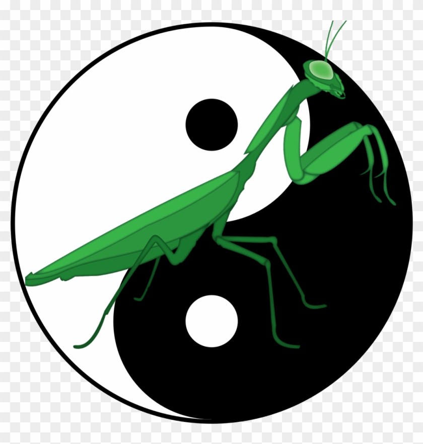 Ting Shen Kung Fu - Seven Star Praying Mantis Kung Fu #175196