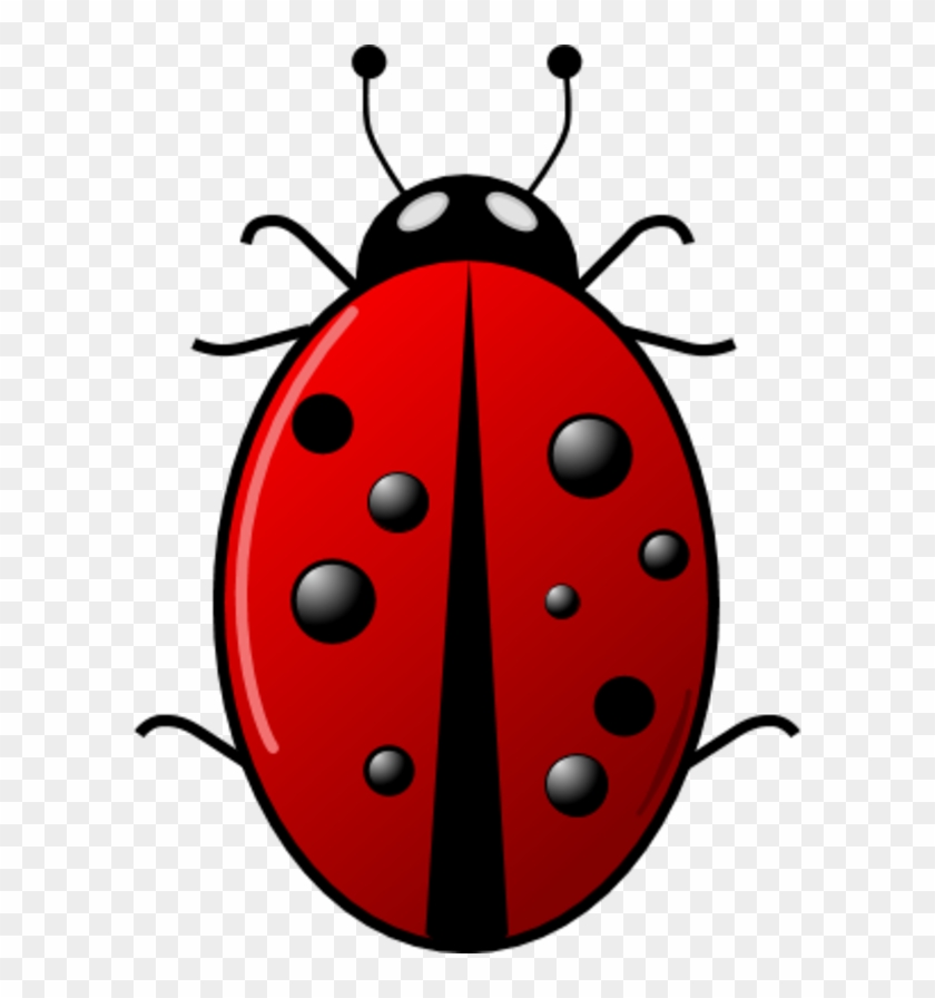 Free Ladybug - Red Bug Insect #175644