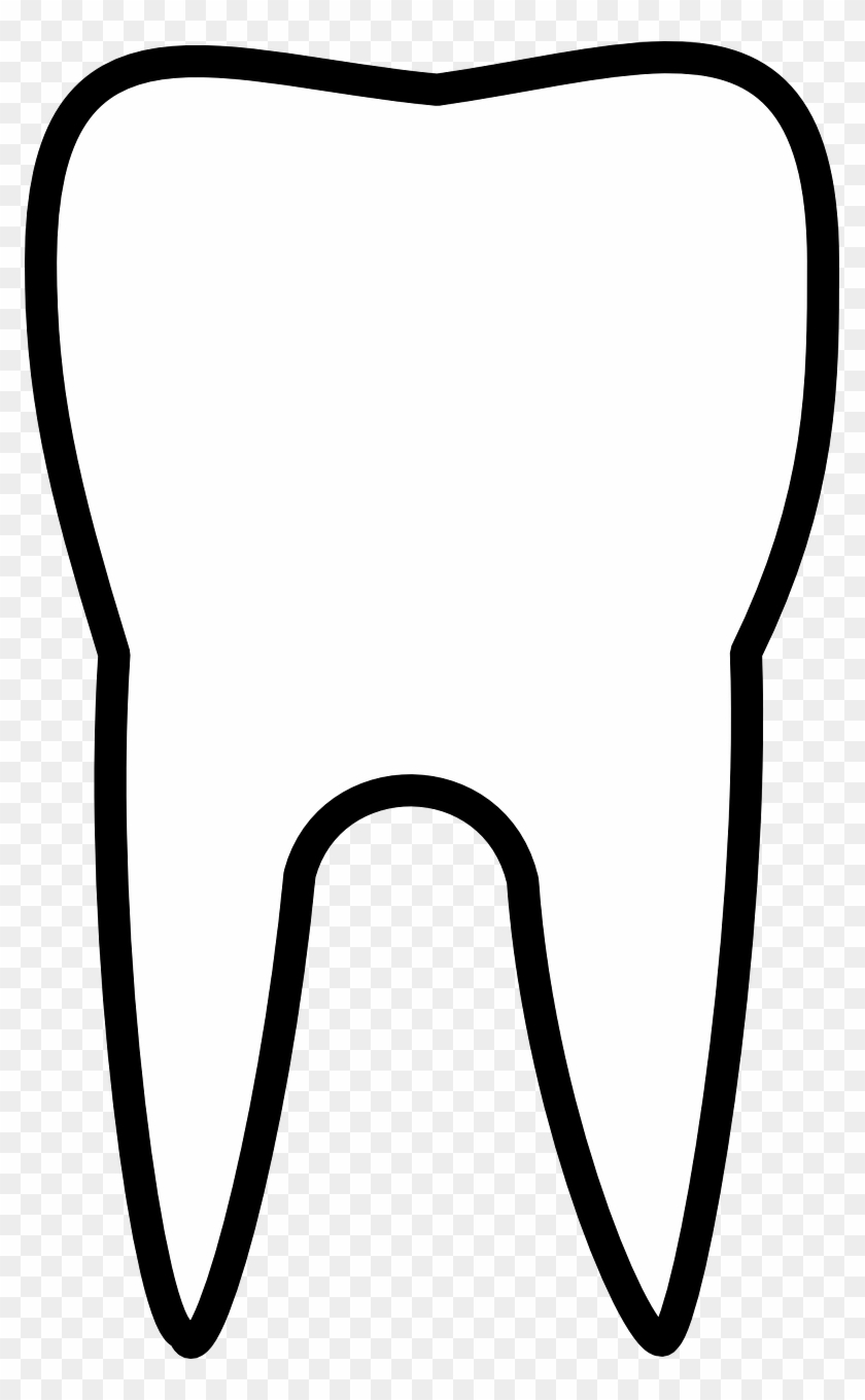 White Tooth Outline Png #175898