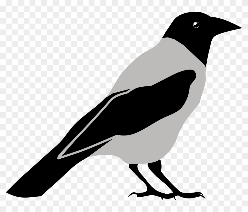 Crow Clipart Black And White - Crow Black And White Clipart #175981