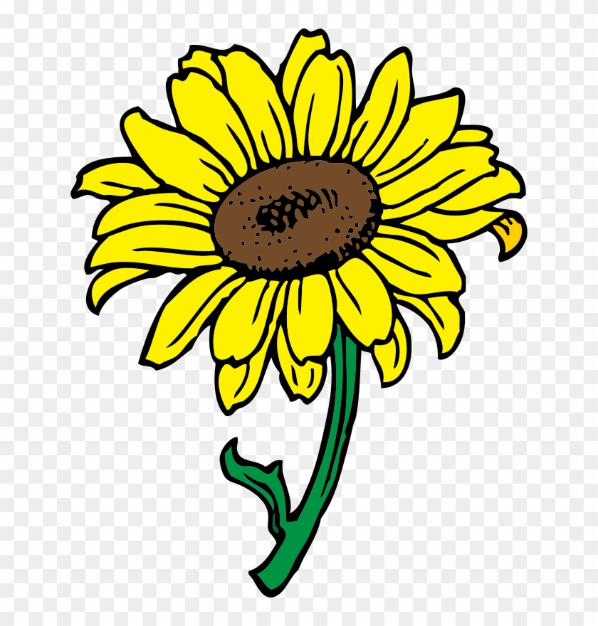 Medium Image - Sunflower Clipart #176110