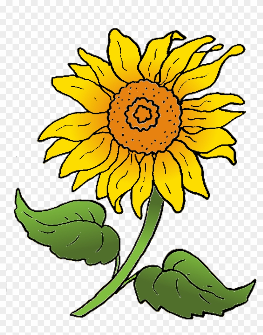 Sonnenblume, Kolorierte Kreul-vorlage - Sonnenblume Clipart #176196
