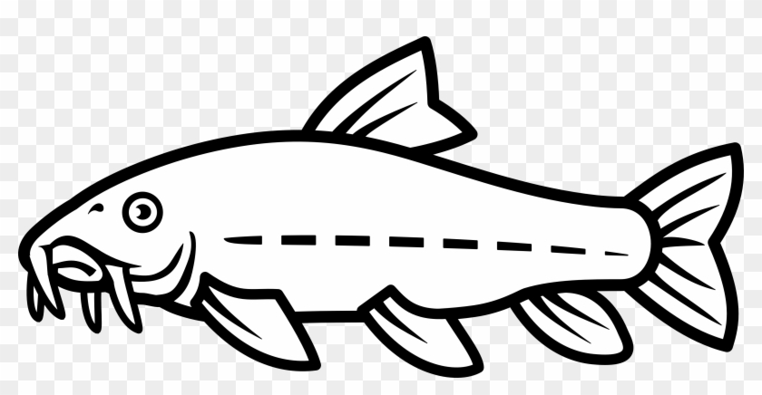 Catfish Vector By Nico-e - Catfish Line Drawing #176217