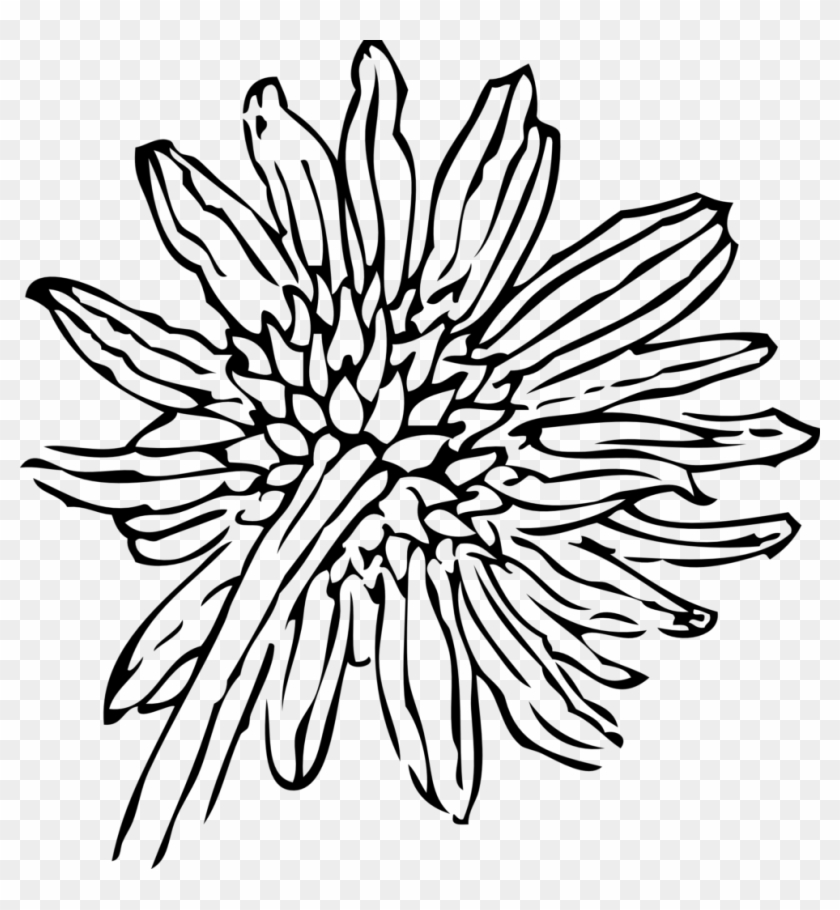 Back Of A Sunflower - Sunflower Clip Art #176268