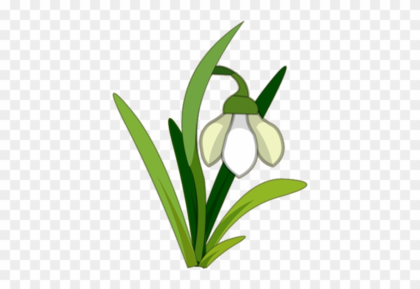 Snowdrops Clipart - Snowdrops Clipart #176274