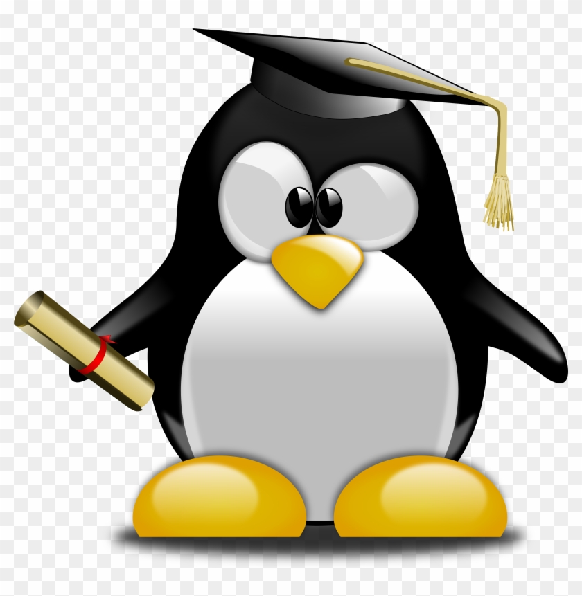 Get Notified Of Exclusive Freebies - Graduation Penguin Clipart #176385