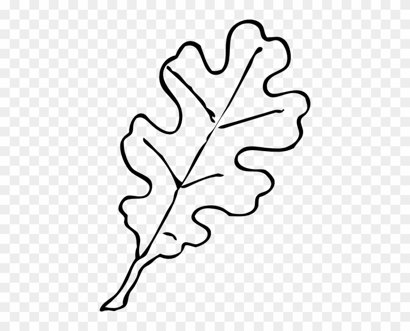 Oak Leaf Outline Clip Art - Oak Tree Leaf Drawing #176524