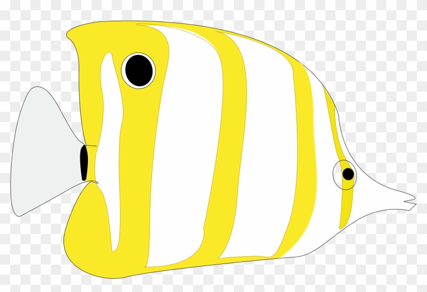 Butterflyfishes #176716