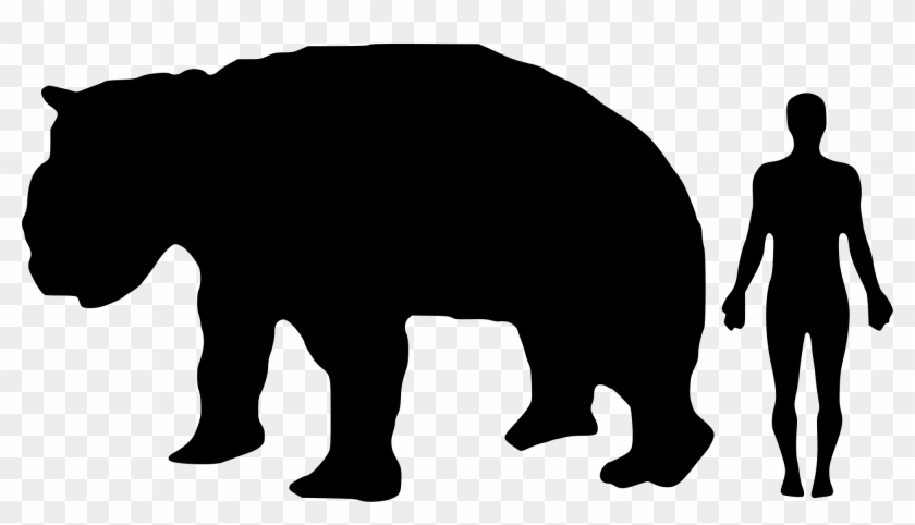 Diprotodon-human Size Comparison - Lkw Clipart #176728