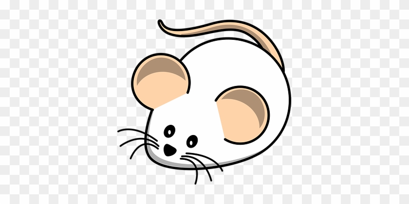 Maus Weiße Maus Feld Tier Ratte Säugetier - White Mouse Clip Art #176771