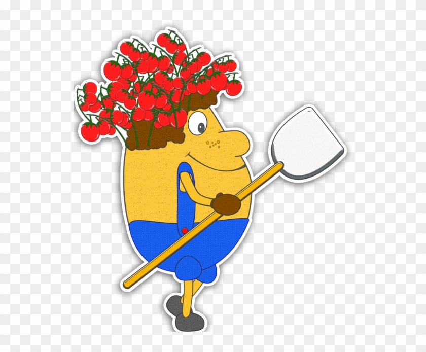Gewinnspiel-tomtato - Gewinnspiel-tomtato #177000