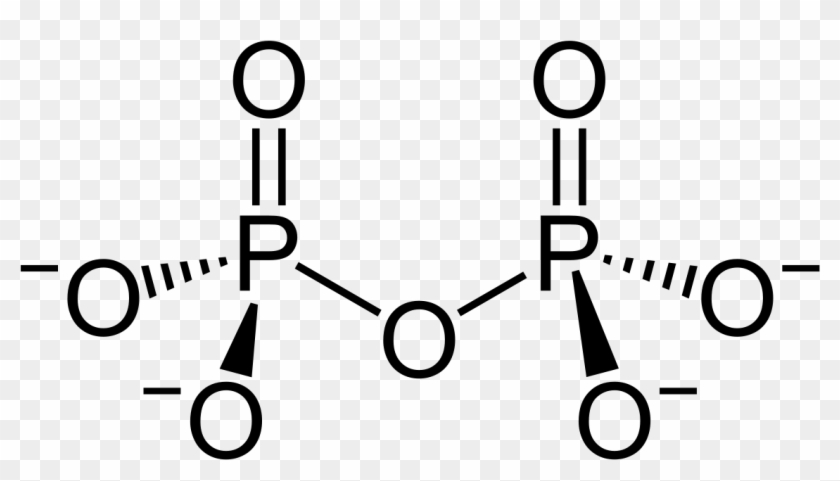 Lewis Structure For The Phosphate Ion Po43 − #177095