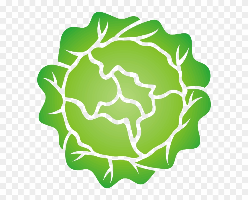 Iceberg Lettuce Salad Leaf Vegetable Clip Art - Iceberg Lettuce Salad Leaf Vegetable Clip Art #177195