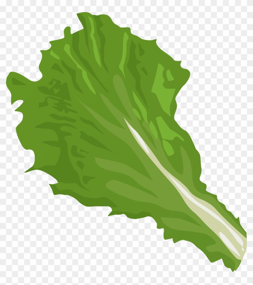 Iceberg Lettuce Romaine Lettuce Vegetable Clip Art - Iceberg Lettuce Romaine Lettuce Vegetable Clip Art #177244