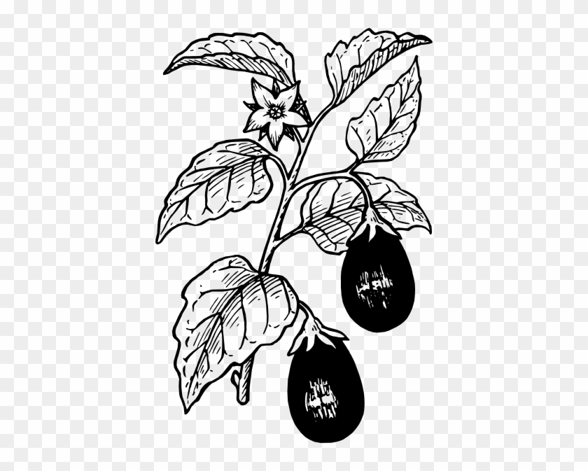 Free Vector Eggplant Clip Art - Eggplant Plant Black And White #177362