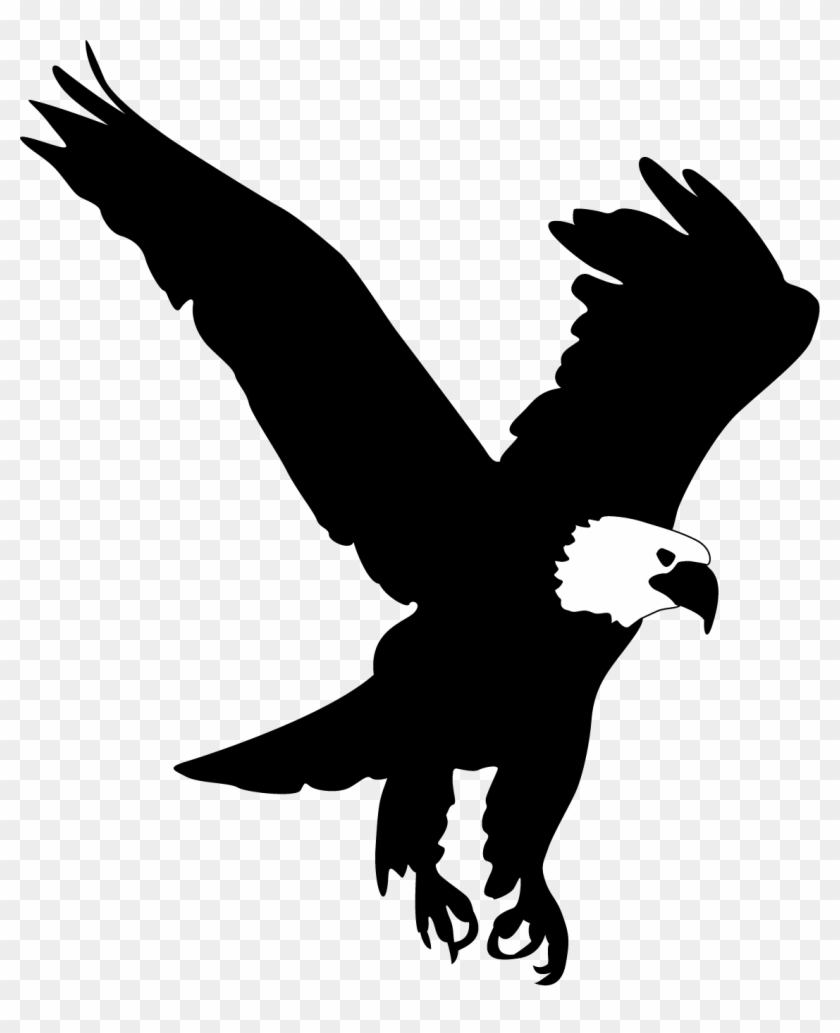 Bald Eagle Clip Art - Eagle Clip Art #177546