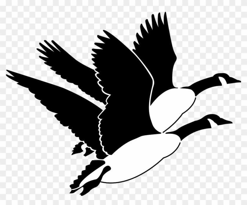 Geese Clip Art - Moose Cree First Nation #177621