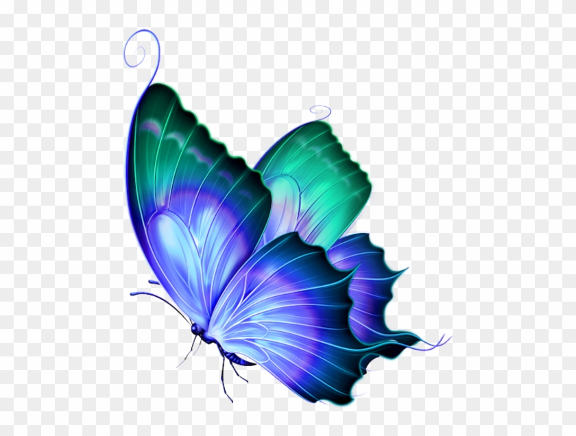 Belated Happy Birthday, Titli Baisa - Deviantart Butterfly Png #177735