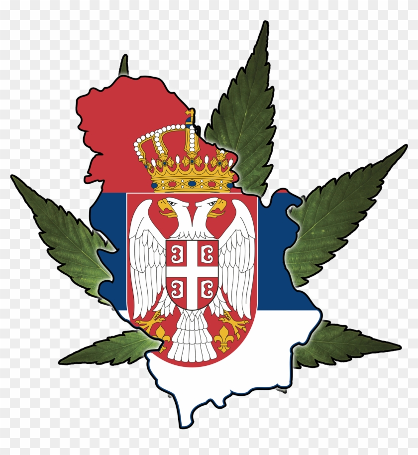 Police Find A Ton Of Potserbia - Novi Grb Srbije #178078