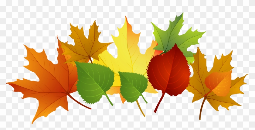 Fall Leaf Clip Art Free Cliparts That You Can Download - Clip Art Free Fall Leaves #178378