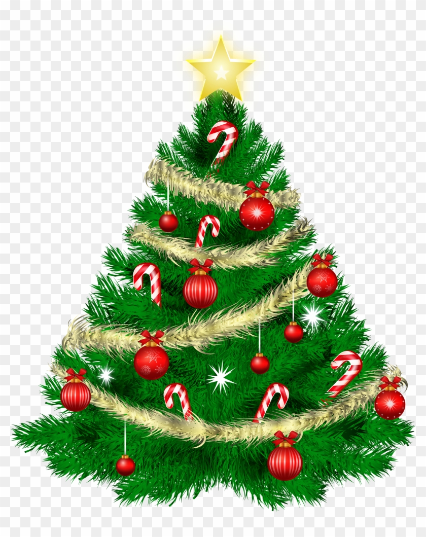 Christmas Tree Clipart Plain - 聖誕樹 卡通 #995514