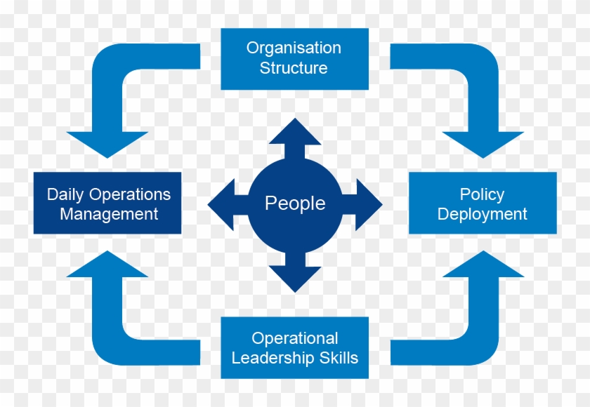 Operations Management Vs - Operational Management #996333