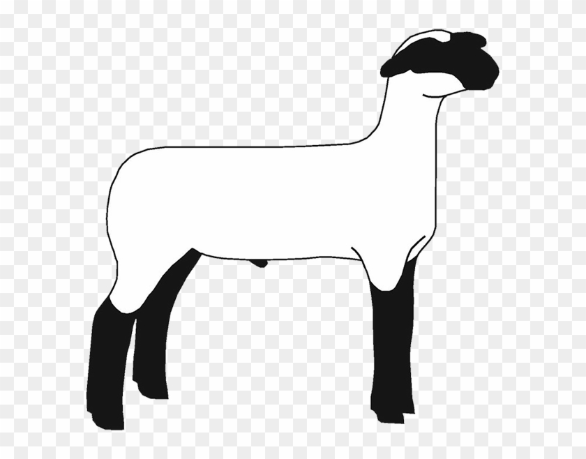 Lamb Clipart - Show Sheep Silhouette #996725