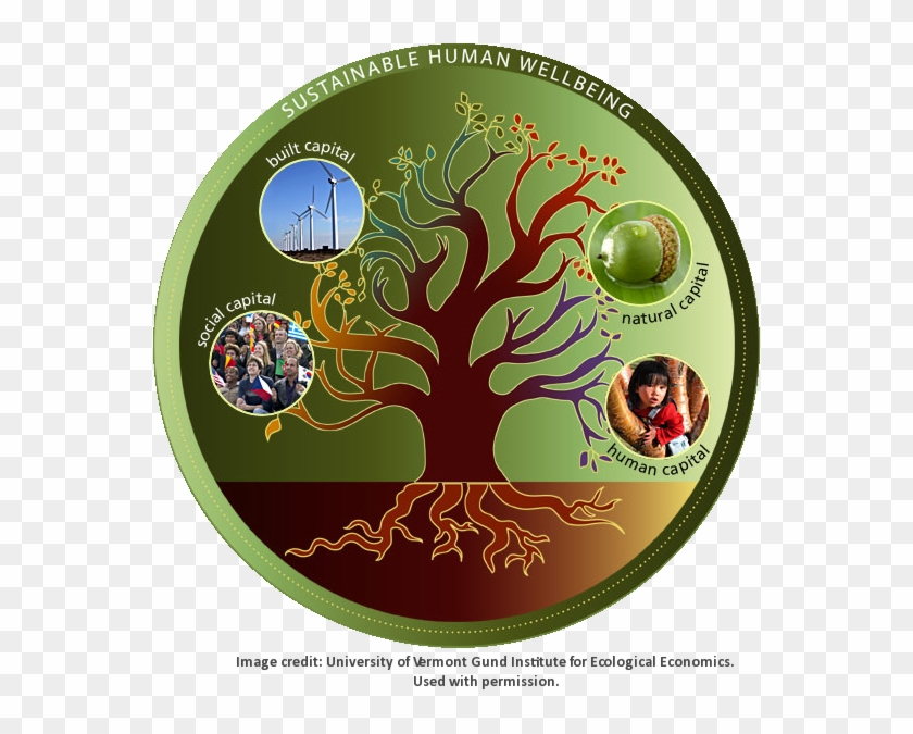 Ecological Economics - Ecological Economics #996888