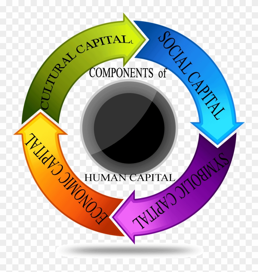 The - Components Of Human Capital #996907