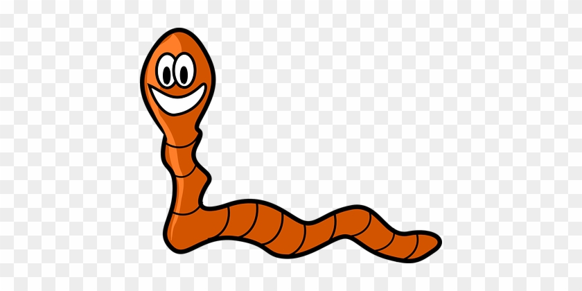 Worm Images - Worm Cartoon #997003