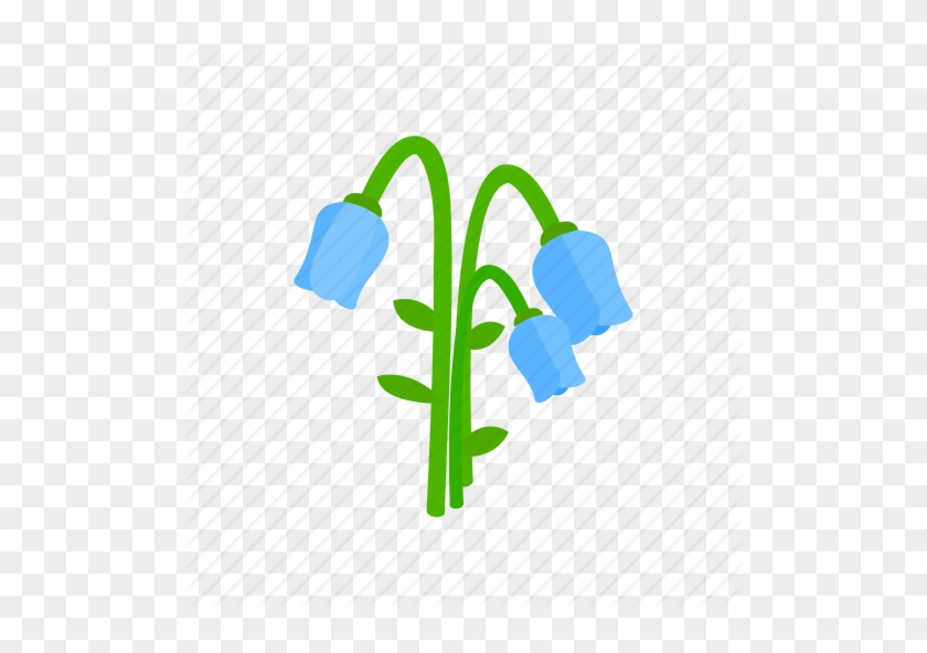 Bellflower Png Transparent Images - Illustration #997089