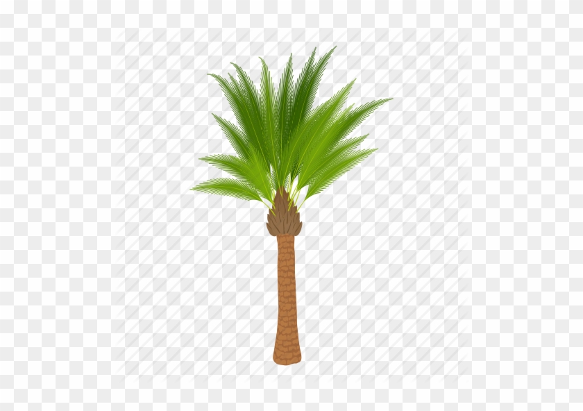 Coconut Tree Clip Art At Hanslodge - Palm Tree Cartoon #997129