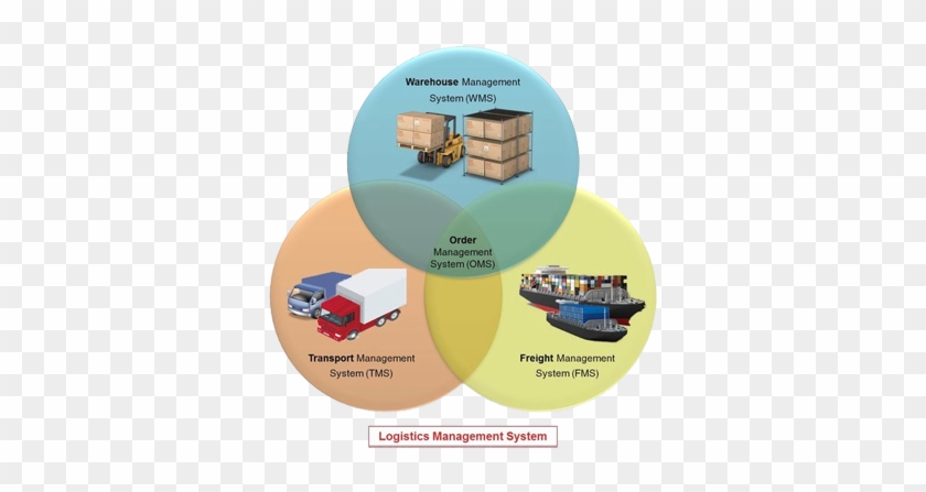 Tms Transportation Management System #997133
