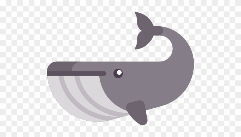 Whale Free Icon - Killer Whale #997598