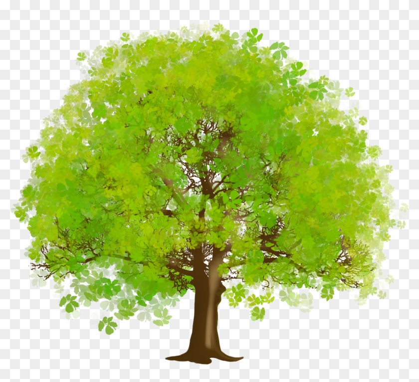 Large Green Tree Png Clipart - Tree Clipart #997731