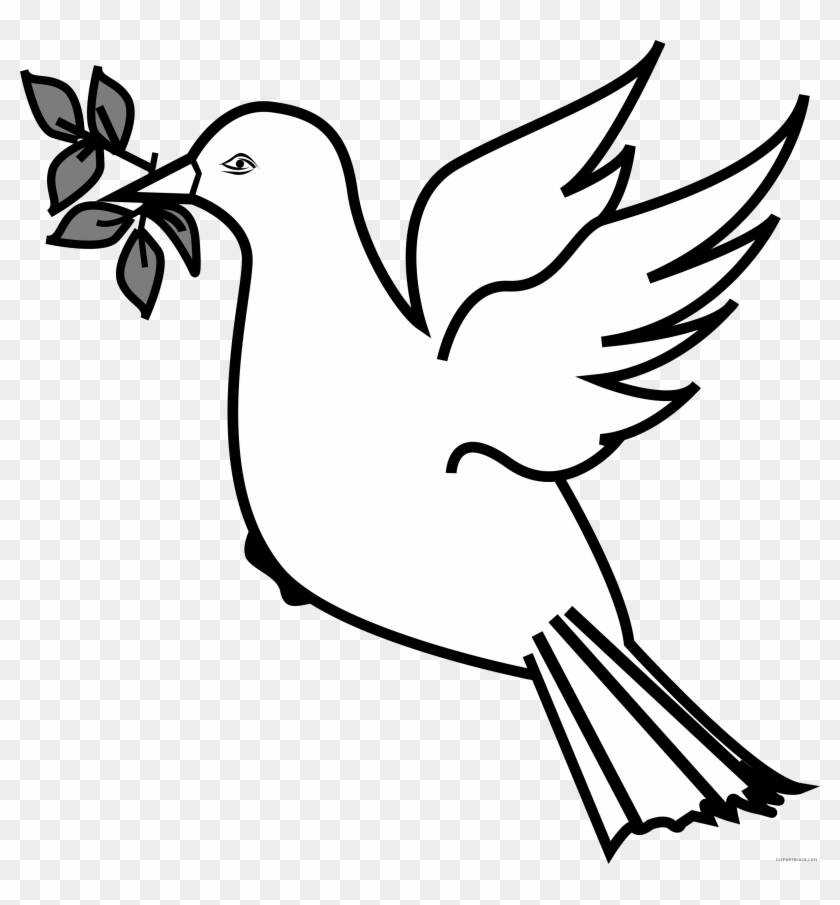 Dove Animal Free Black White Clipart Images Clipartblack - Dove With Olive Branch Clipart #997760