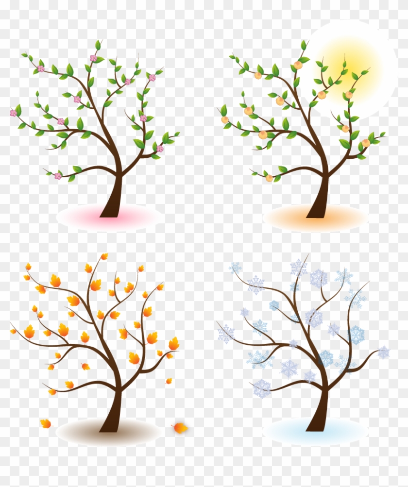 Season Tree Clip Art - Four Seasons Tree Png #997849