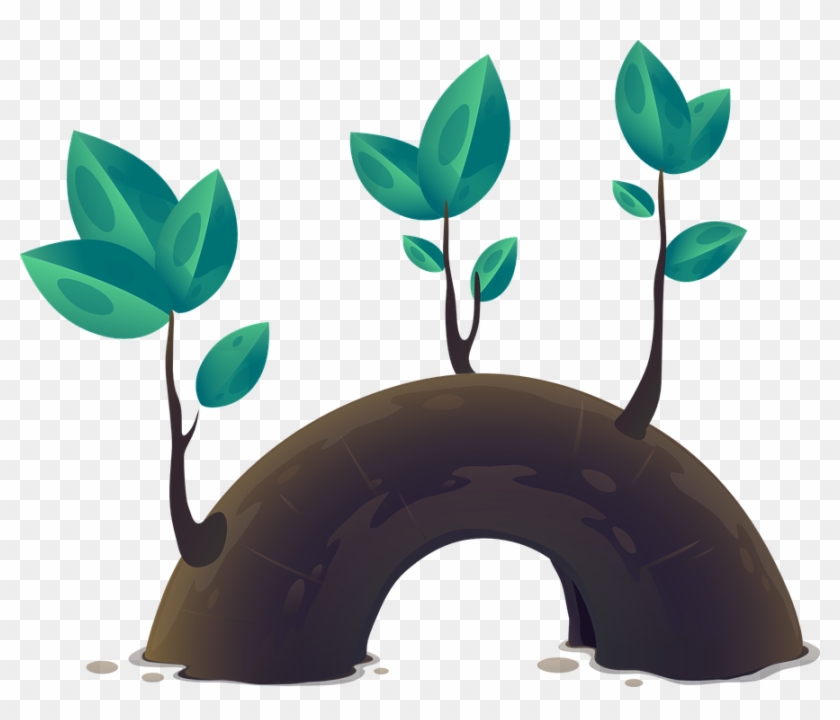 Growth By The Numbers - Plantas Animadas Png - Free Transparent PNG Clipart  Images Download