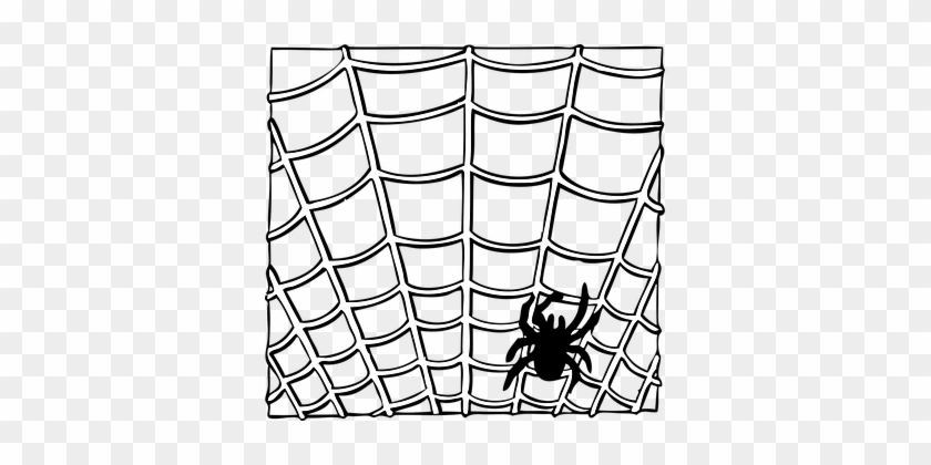 Spider, Web, Insect, Animal, Halloween - Spider Web Clip Art #998060