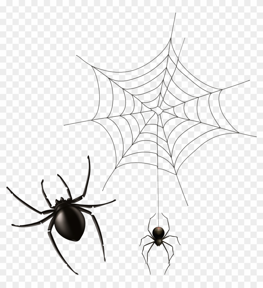 Spider And Cobweb Png Clipart Image - Spider Web #998080